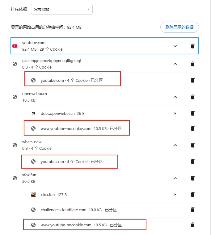列表中大量标记为【已分区】的 YouTube Cookie